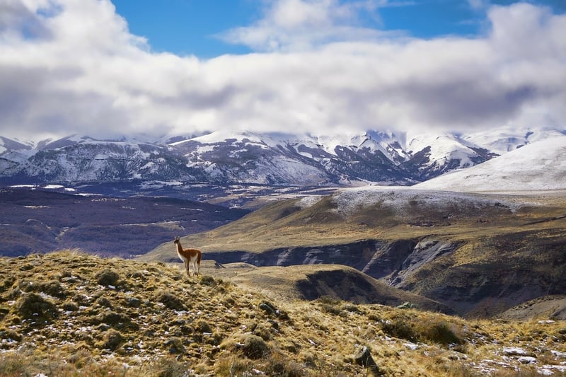 Patagonia's Worn Wear